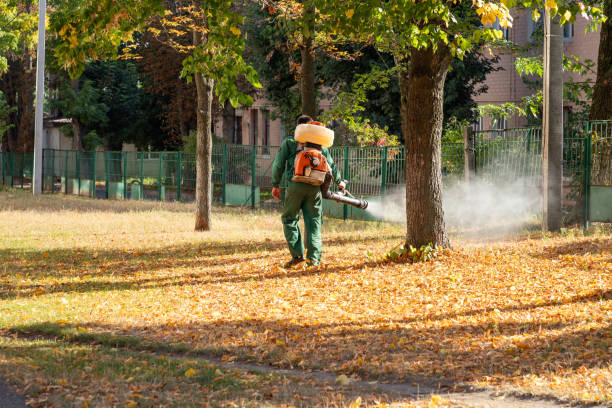Best Pest Removal Services  in East Renton Highlands, WA