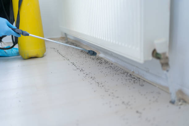 Pest Control for Restaurants in East Renton Highlands, WA