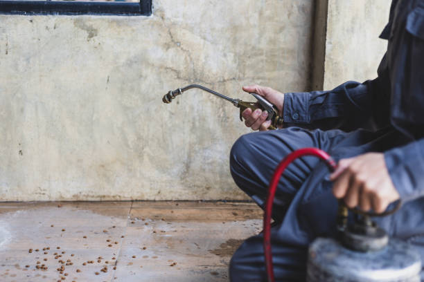 Best Pest Prevention Services  in East Renton Highlands, WA